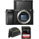 Sony Alpha a6100 Mirrorless Digital Camera Body with Accessories Kit